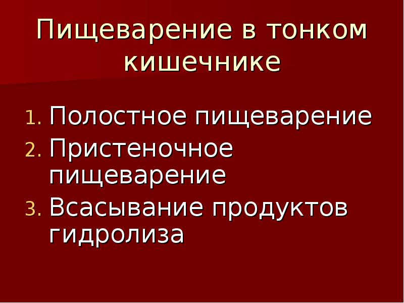 Полостное и пристеночное пищеварение в тонкой кишке