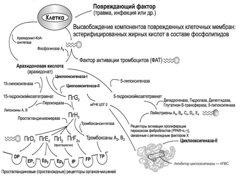 Препараты с простагландинами для роста волос