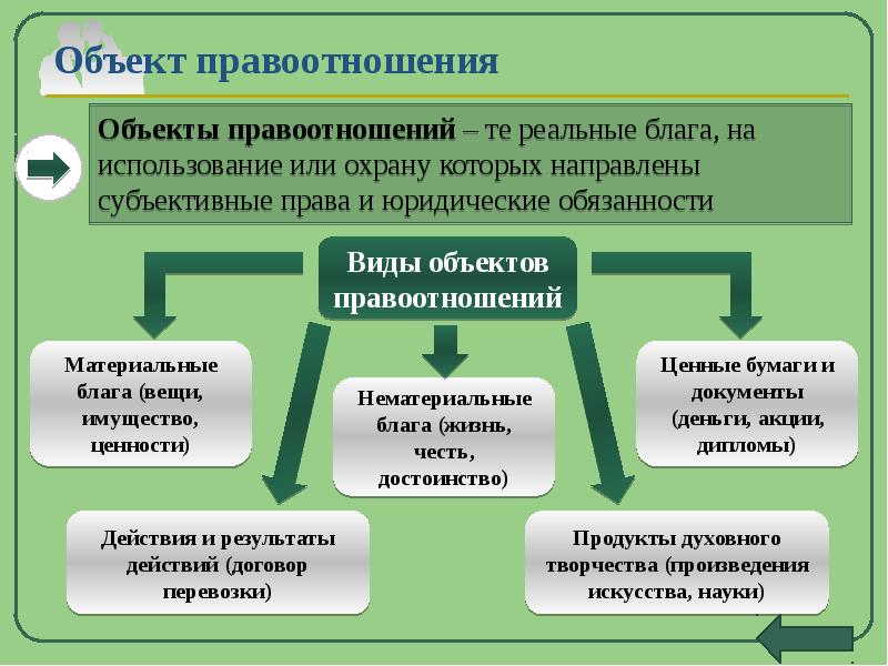 Экологические нормы и правоотношения