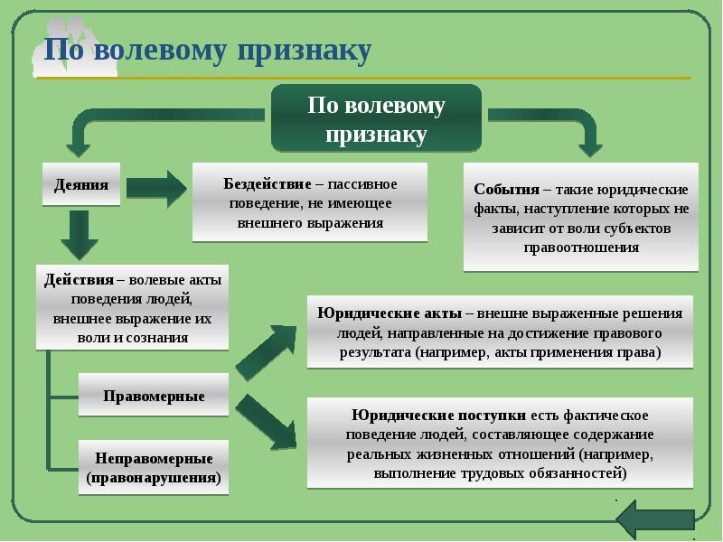 Волевые юридические факты