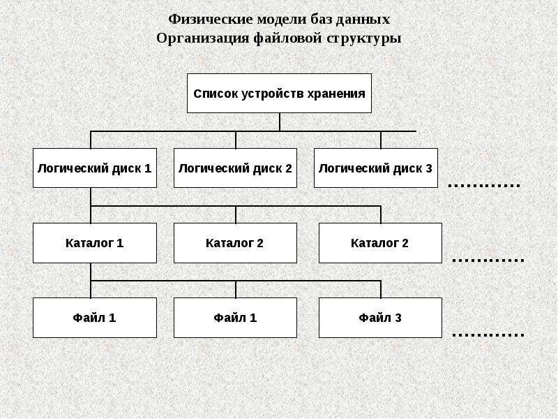 2 модели баз данных