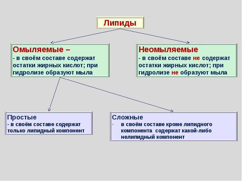 К омыляемым липидам относятся