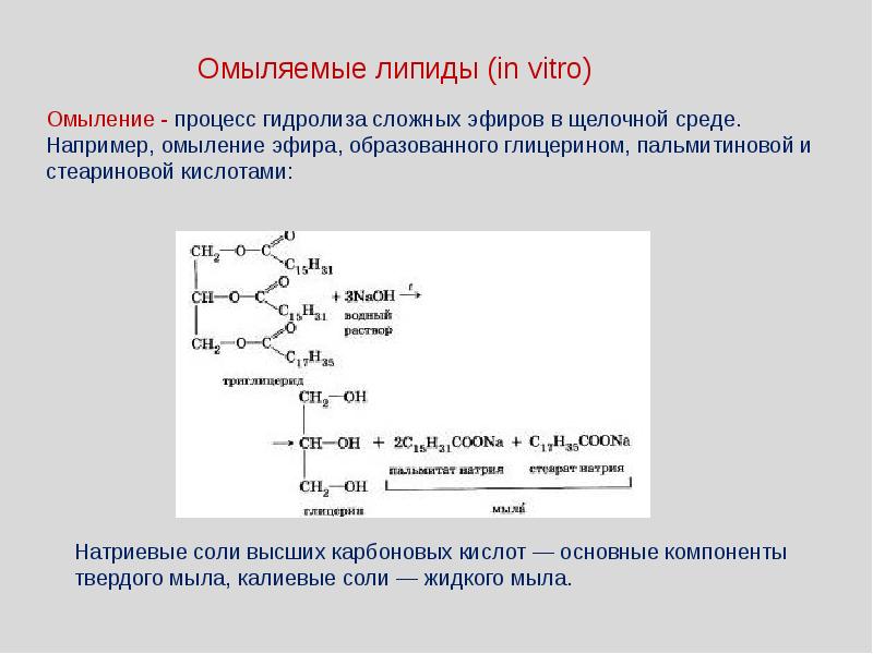 Липиды омыляемые презентация