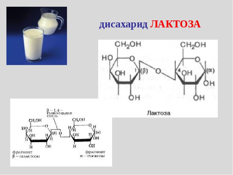 Презентация биохимия молока