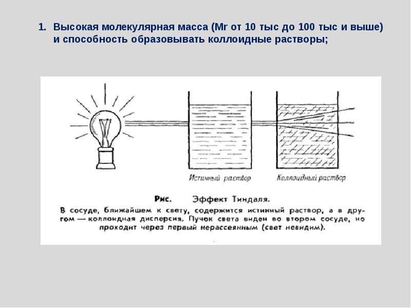 Биохимия 10 класс презентация