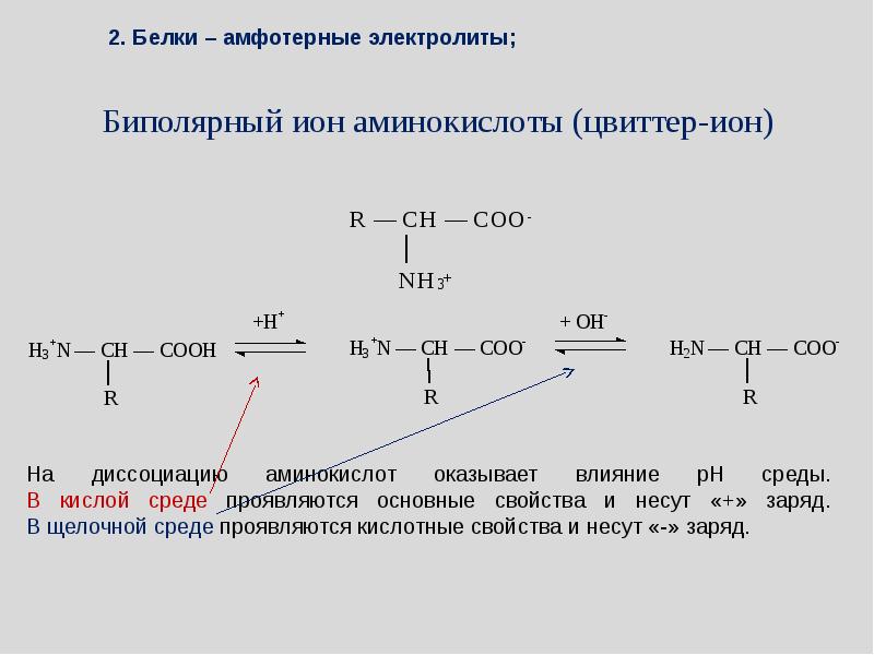 Изобразите схему образования биполярных ионов на примере аланина серина