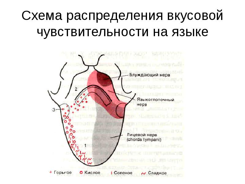 Схема порогов чувствительности