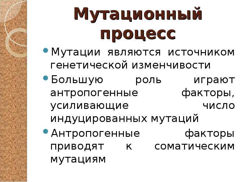 Мутационный процесс