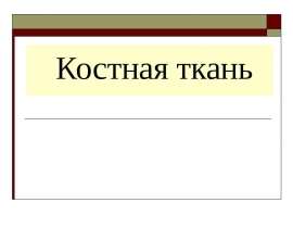 Костная ткань
