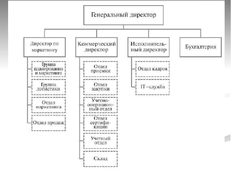 Структура торгового предприятия образец схема