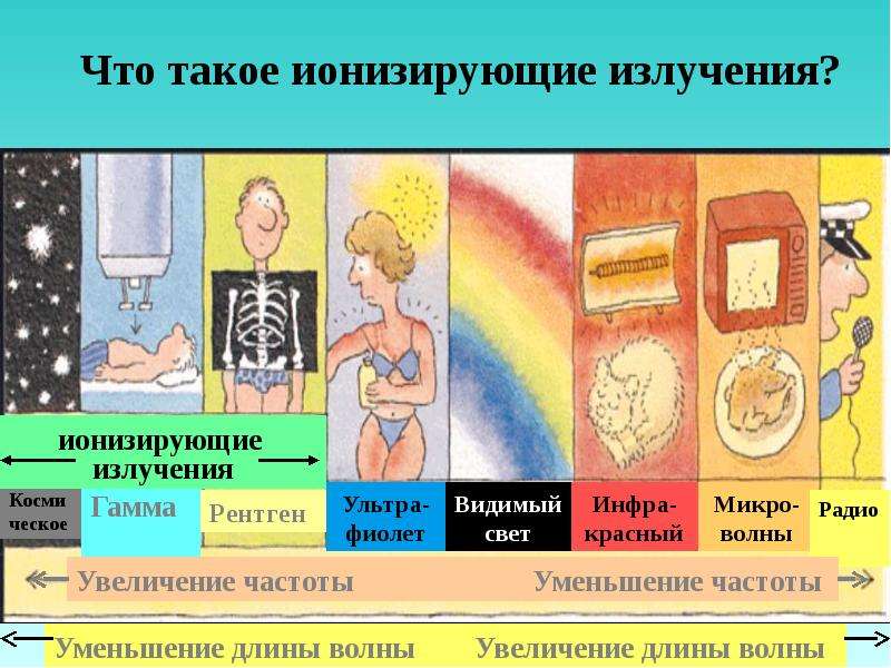 Презентации по радиобиологии