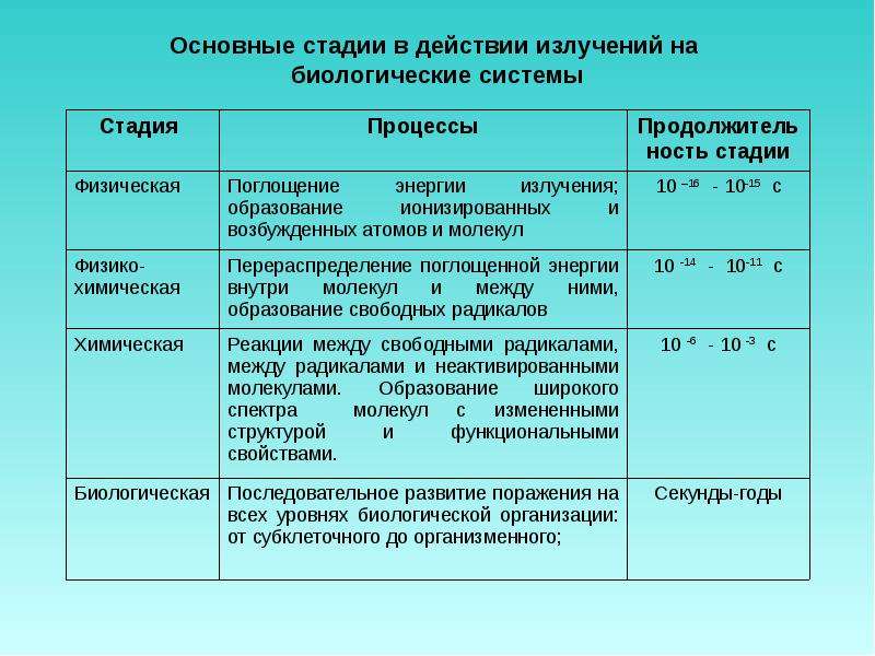 В ходе биологического. Основные стадии в действии излучений на биологические системы. Стадии действия ионизирующего излучения. Этапы воздействия ионизирующего излучения на биологические объекты. Стадии воздействия ионизирующего излучения на организм.