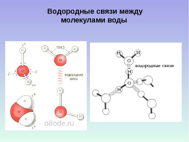 Метан водородная связь. Схема образования водородной связи между молекулами воды. Водородная связь в воде схема.