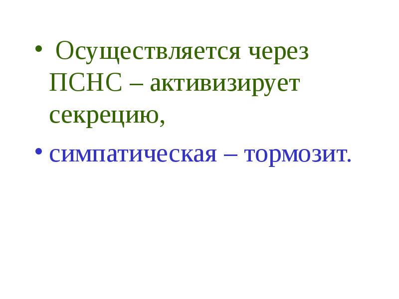 Осуществляет секрецию