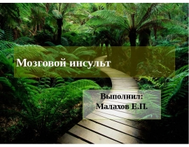 Мозговой инсульт