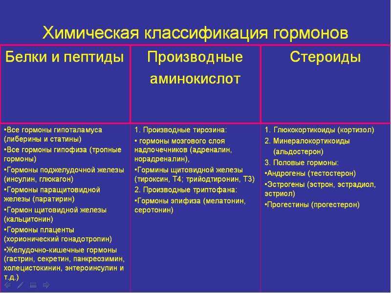 Пептидные и белковые гормоны презентация