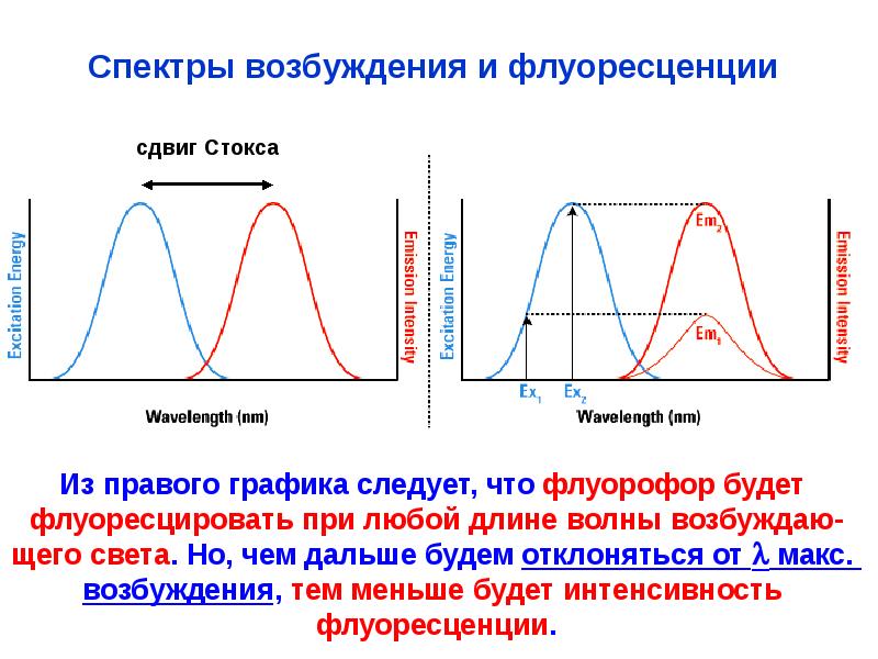 Волны возбуждения являются. Спектр возбуждения и испускания флуоресценции. Спектр поглощения и спектр возбуждения. Спектр возбуждения относительно спектра поглощения. Возбуждение флуоресценции.