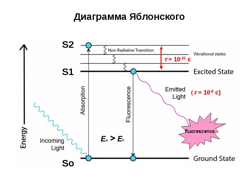 Диаграмма яблонского флуоресценция