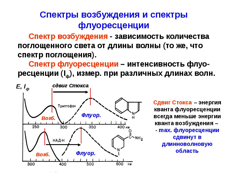 Возбуждение света. Спектр возбуждения люминесценции и спектр поглощения. Спектры возбуждения и испускания флуоресценции. Спектр флуоресценции и спектр возбуждения.. Спектр возбуждения и поглощения флуоресценции.