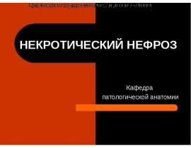 НЕКРОТИЧЕСКИЙ НЕФРОЗ