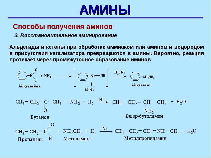 Получение аминов презентация