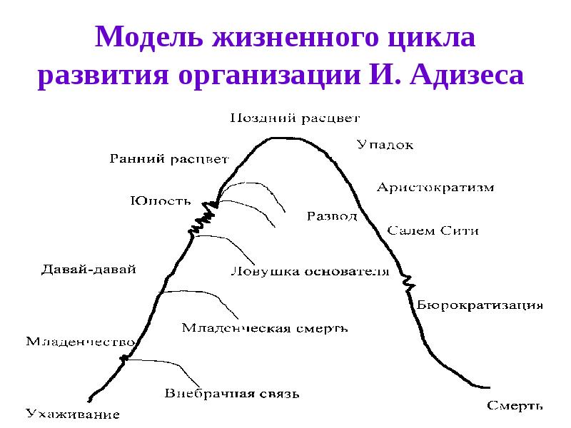 Адизес жизненный