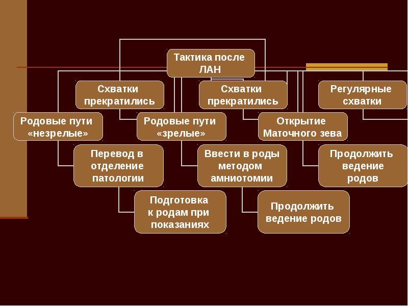 Определенный род деятельности. Родовой сценарий. Фирма Arrian. Род деятельности?.