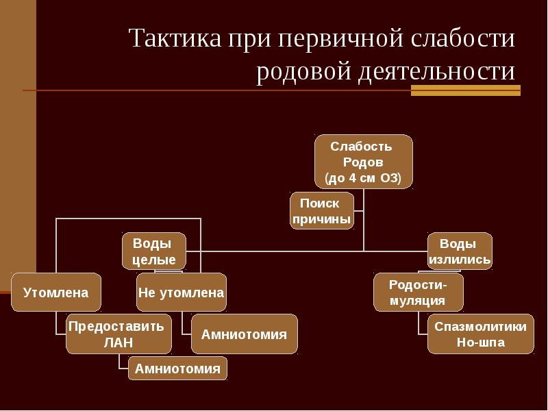 Род деятельности