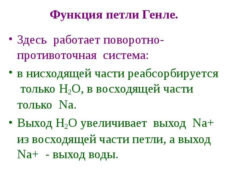 Выход н. Петля Генле функции. Роль петли Генле. Функция нисходящей части петли Генле. Функция восходящей части петли.