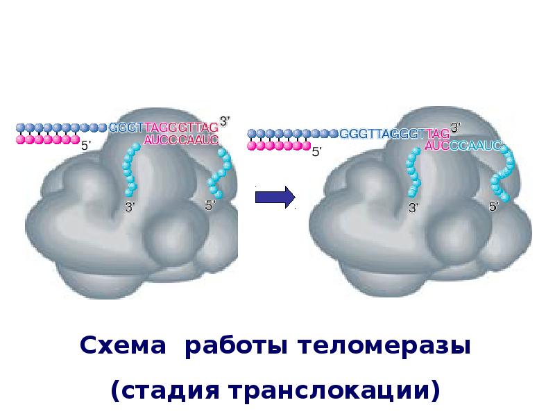 Поток информации фото