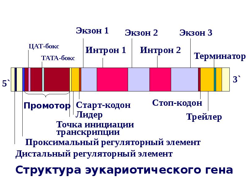 Поток информации фото