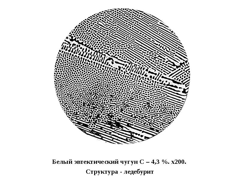 Структура белого. Микроструктура белого эвтектического чугуна. Белый чугун ледебурит микроструктура. Структура эвтектического белого чугуна. Белый чугун эвтектический ледебурит.