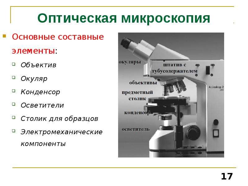 В оптическом микроскопе изображение после окуляра