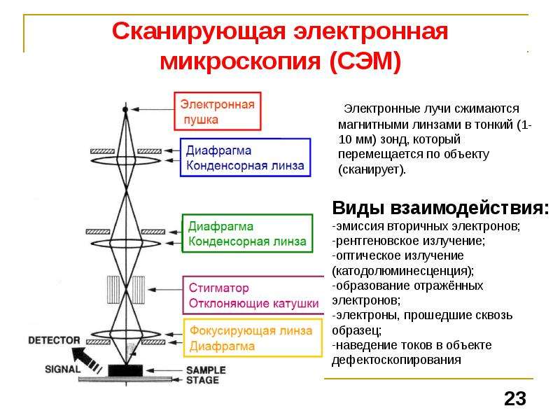 Схема электронного микроскопа