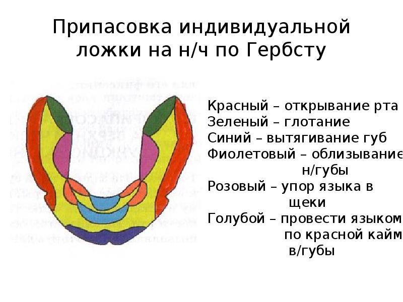 Индивидуальные ложки в ортопедической стоматологии презентация