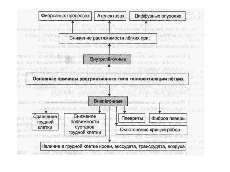 Патофизиология дыхательной системы презентация