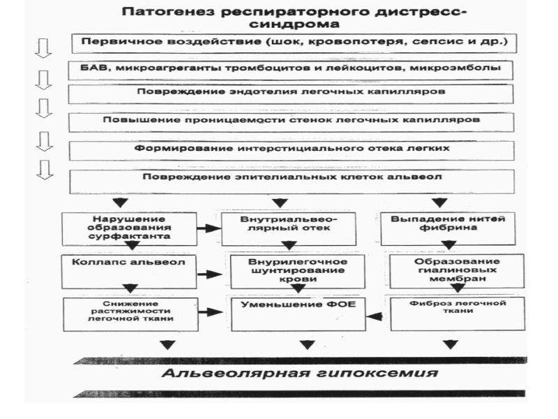 Патофизиология дыхательной системы презентация