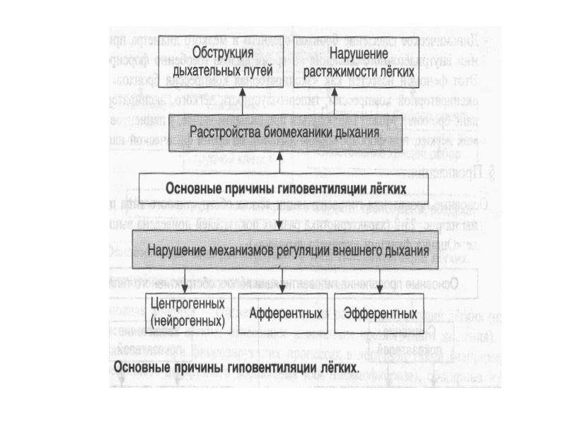 Патофизиология внешнего дыхания презентация