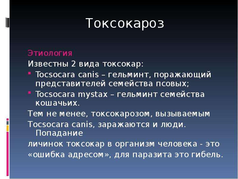 Токсокароз лечение. Токсокароз презентация. Токсокара презентация. Токсокароз этиология.