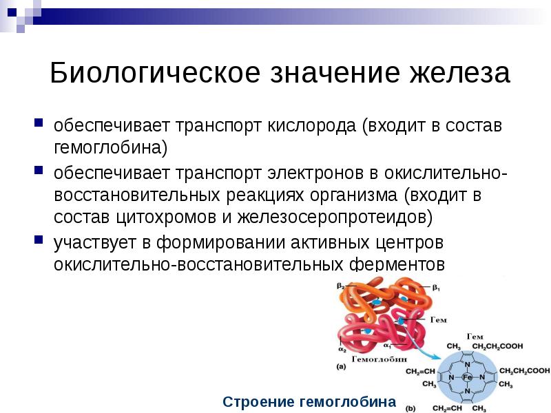 Что означает железа. Обеспечивает транспорт кислорода (входит в состав гемоглобина). Железо биологическое значение. Биологическое значение гемоглобина. Гем биологическое значение.