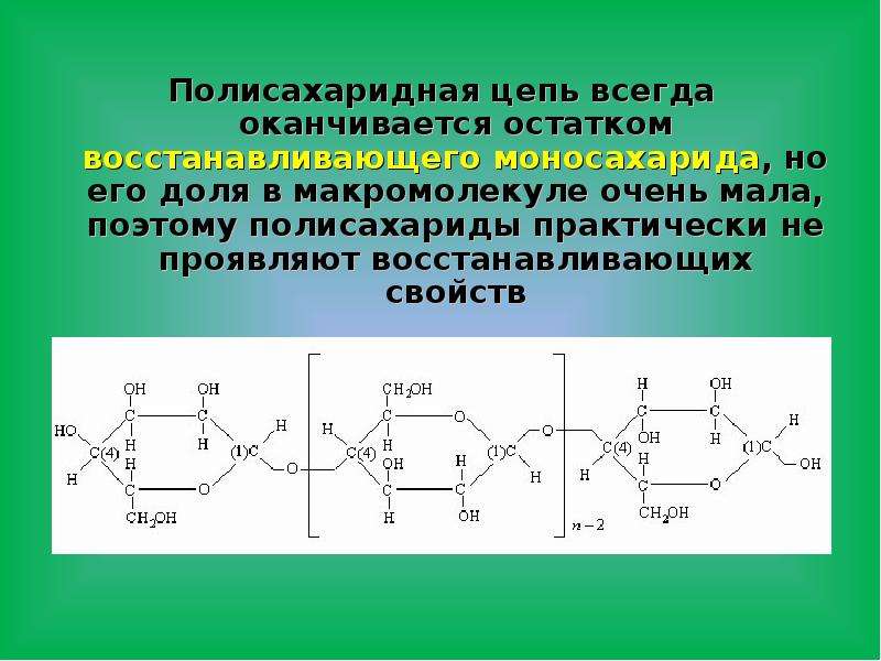 Биополимеры полисахариды. Полисахаридная цепь. Первичная структура полисахаридов. Цепочка полисахаридов. Полисахаридные цепи целлюлозы являются.