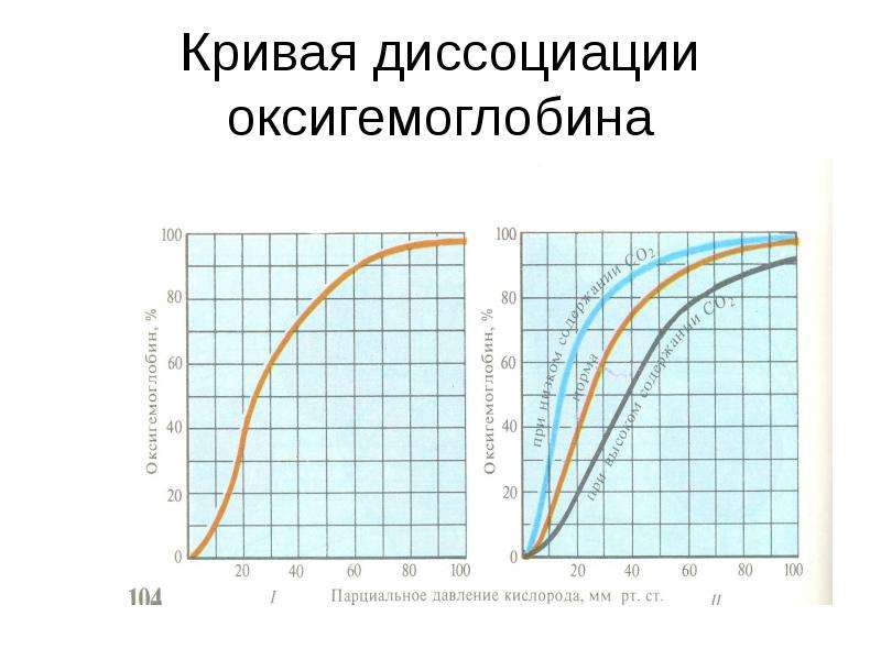 Кривая 20. Формы Кривой диссоциации оксигемоглобина..