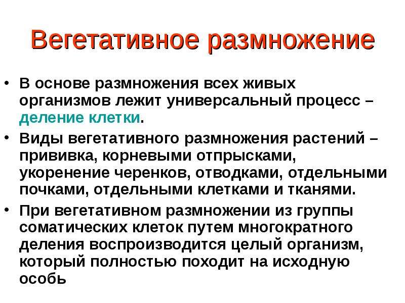 Основы размножения. Что лежит в основе вегетативного размножения. Вегетативное размножение деление клетки. При вегетативном размножении в основе лежит. Что лежит в основе размножения живых организмов.