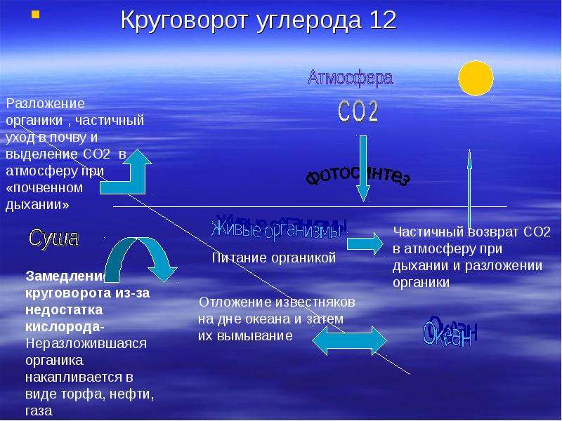 Круговорот co2 в природе презентация