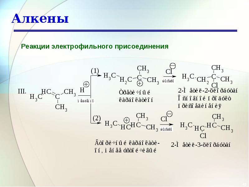 Алкены. Алкены реакции. Симметричные Алкены. Алкены примеры. Алкены характерные реакции.