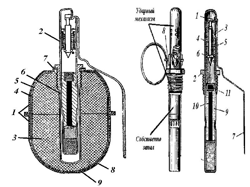 Схема гранаты ф1