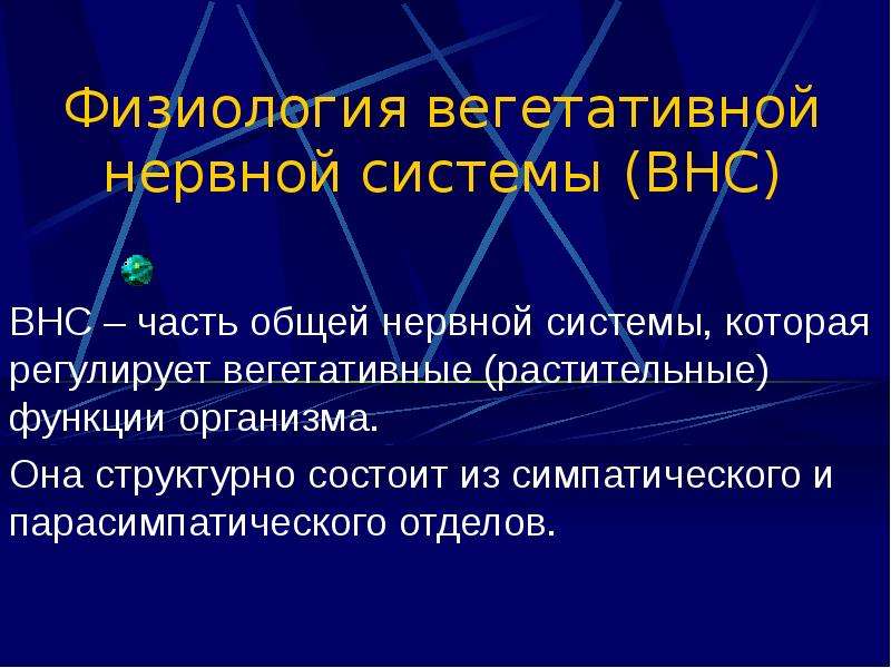 Автономная нервная система физиология презентация