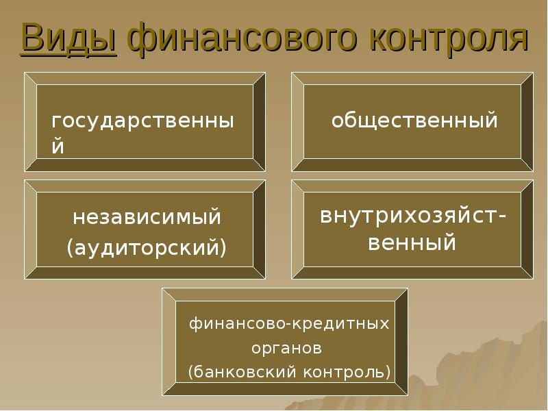 Презентация виды финансового контроля