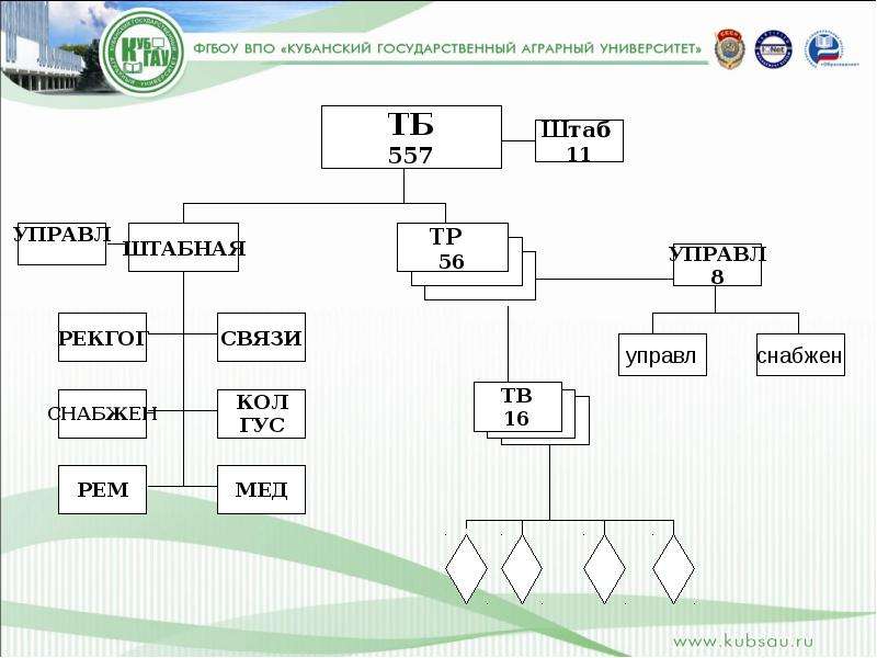 Танковый батальон схема