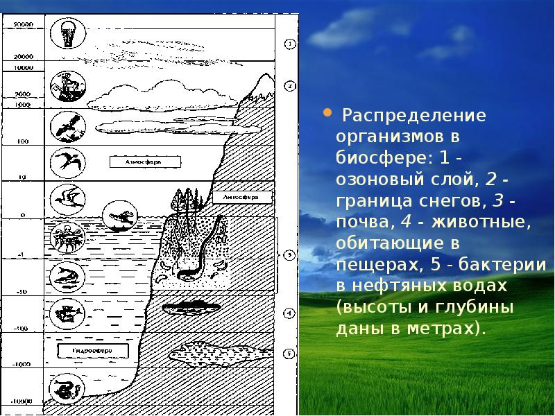 Распространении биосферы